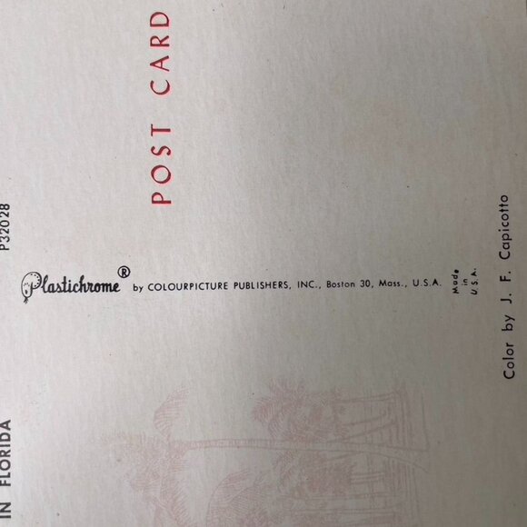 Vintage Postcard Postcard Florida Alligator Waiting for You u - Picture 5 of 5